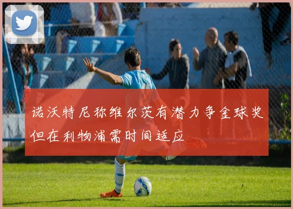 诺沃特尼称维尔茨有潜力争金球奖但在利物浦需时间适应
