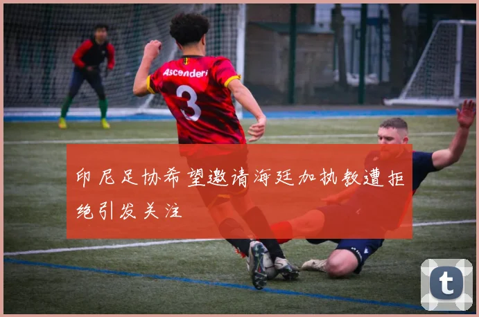 印尼足协希望邀请海廷加执教遭拒绝引发关注