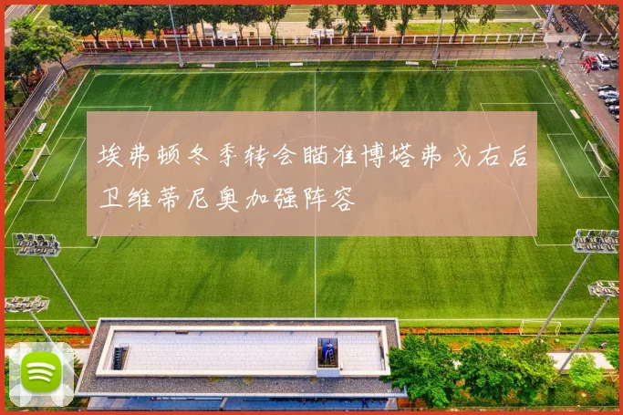 埃弗顿冬季转会瞄准博塔弗戈右后卫维蒂尼奥加强阵容